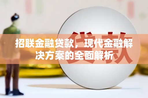宁明招联金融贷款，现代金融解决方案的全面解析