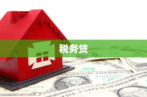 夏邑税务贷