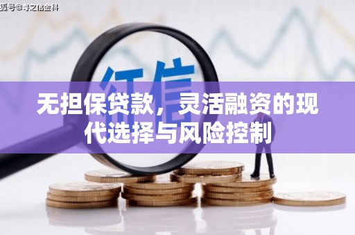 泸县无担保贷款，灵活融资的现代选择与风险控制