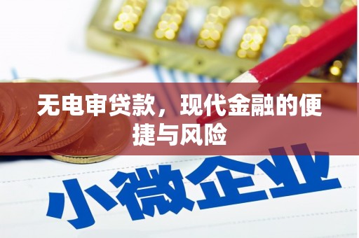 黄骅无电审贷款，现代金融的便捷与风险