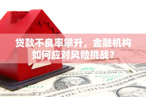 杉林贷款不良率攀升，金融机构如何应对风险挑战？