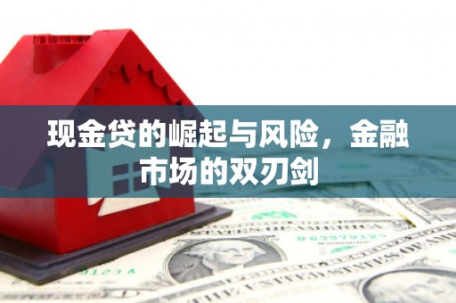 永清现金贷的崛起与风险，金融市场的双刃剑