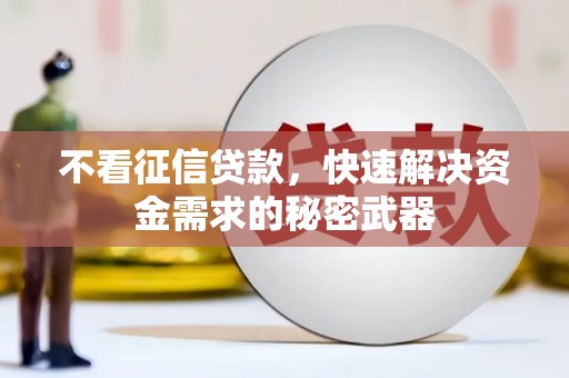 延吉不看征信贷款，快速解决资金需求的秘密武器