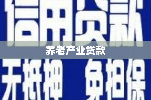 红岗养老产业贷款