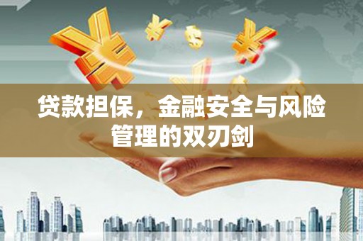 美兰贷款担保，金融安全与风险管理的双刃剑