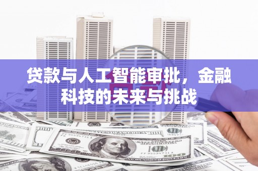 中寮贷款与人工智能审批，金融科技的未来与挑战