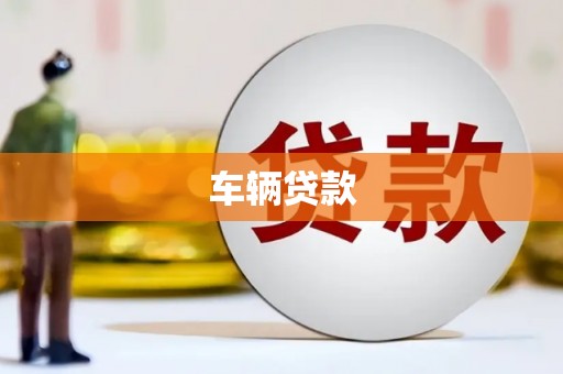连山车辆贷款