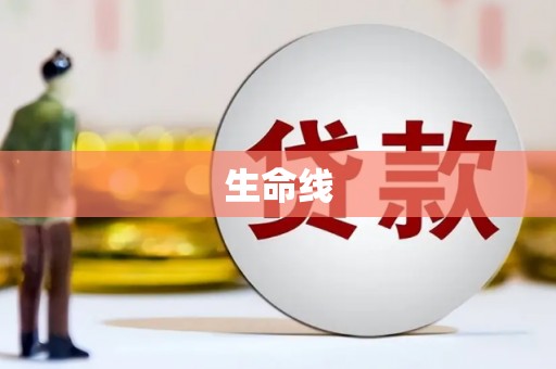 广元生命线