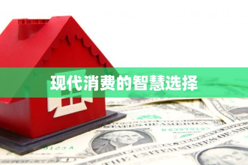 邵阳县现代消费的智慧选择