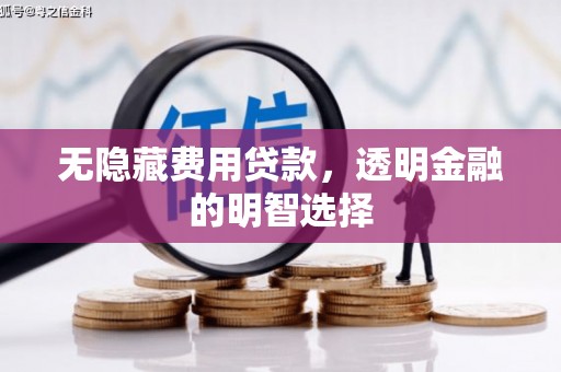 荔城无隐藏费用贷款，透明金融的明智选择
