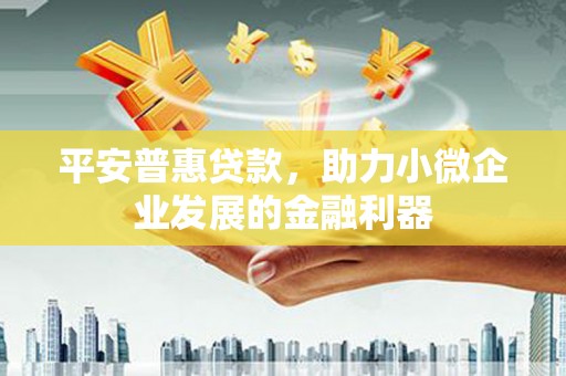 南皮平安普惠贷款，助力小微企业发展的金融利器