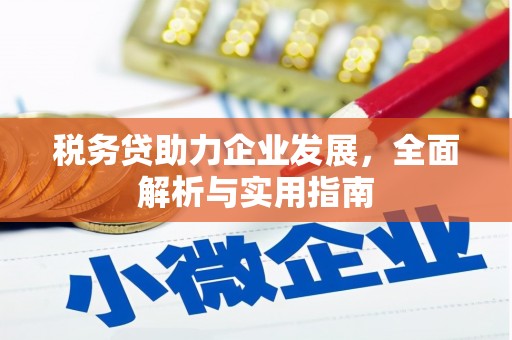 六甲税务贷助力企业发展，全面解析与实用指南