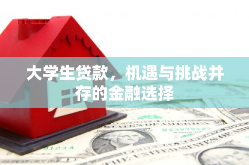阿拉山口大学生贷款，机遇与挑战并存的金融选择
