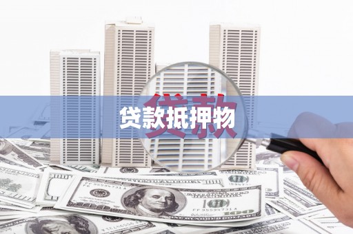杂多贷款抵押物