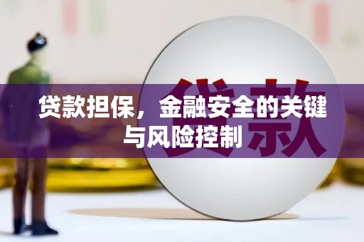 维西贷款担保，金融安全的关键与风险控制