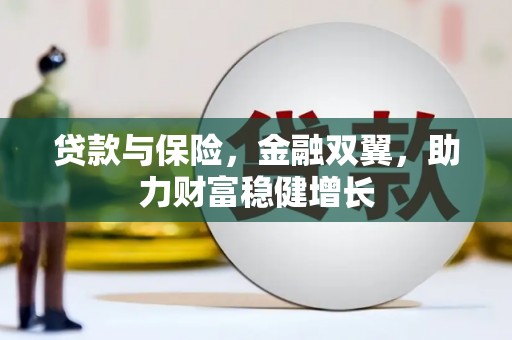 大邑贷款与保险，金融双翼，助力财富稳健增长