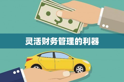 沙洋灵活财务管理的利器