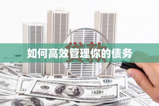 沙洋如何高效管理你的债务