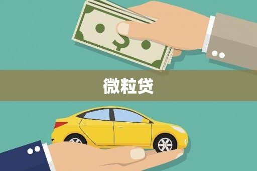 吴中微粒贷
