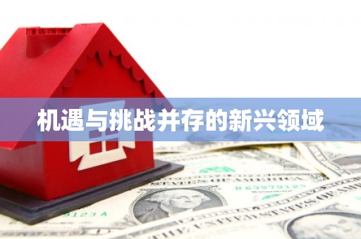 卓溪机遇与挑战并存的新兴领域