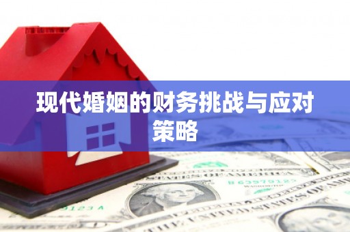 沙湾现代婚姻的财务挑战与应对策略