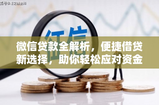 庄河微信贷款全解析，便捷借贷新选择，助你轻松应对资金需求
