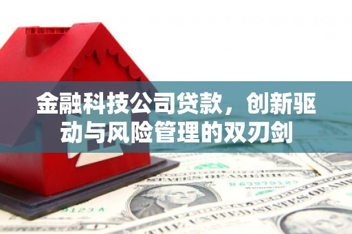大朗金融科技公司贷款，创新驱动与风险管理的双刃剑
