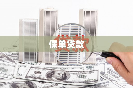 惠安保单贷款 惠安保单贷款